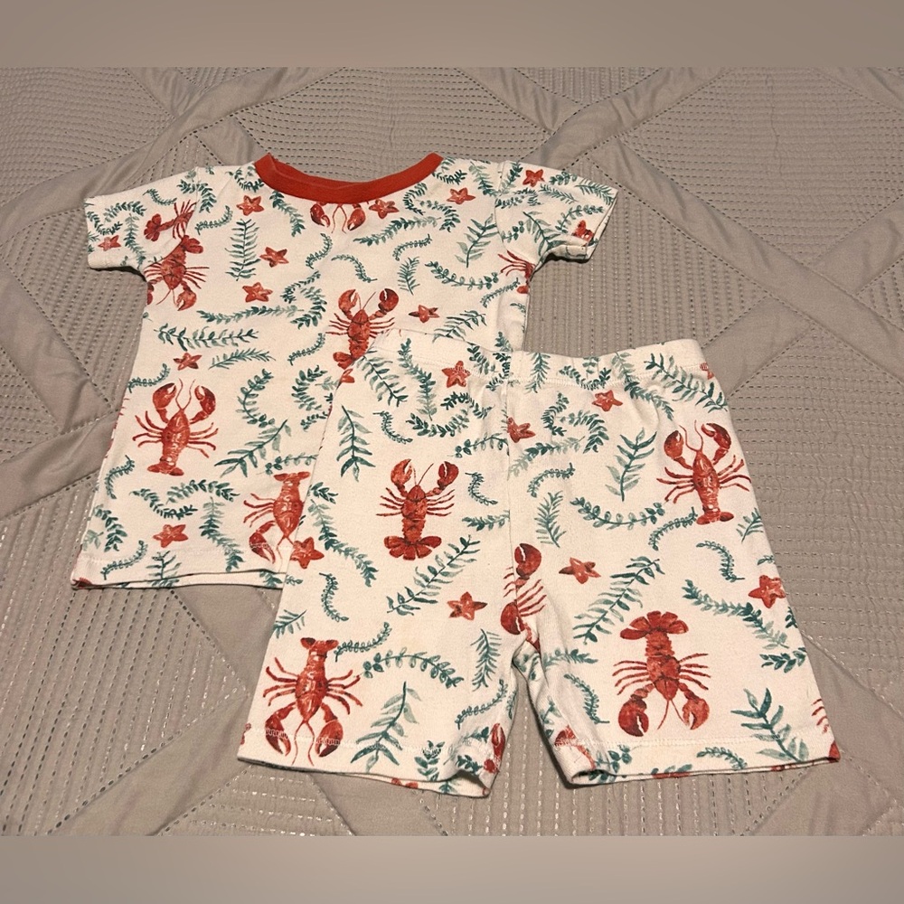 Burt's Bees Baby Lobster and Fern Pajama Set